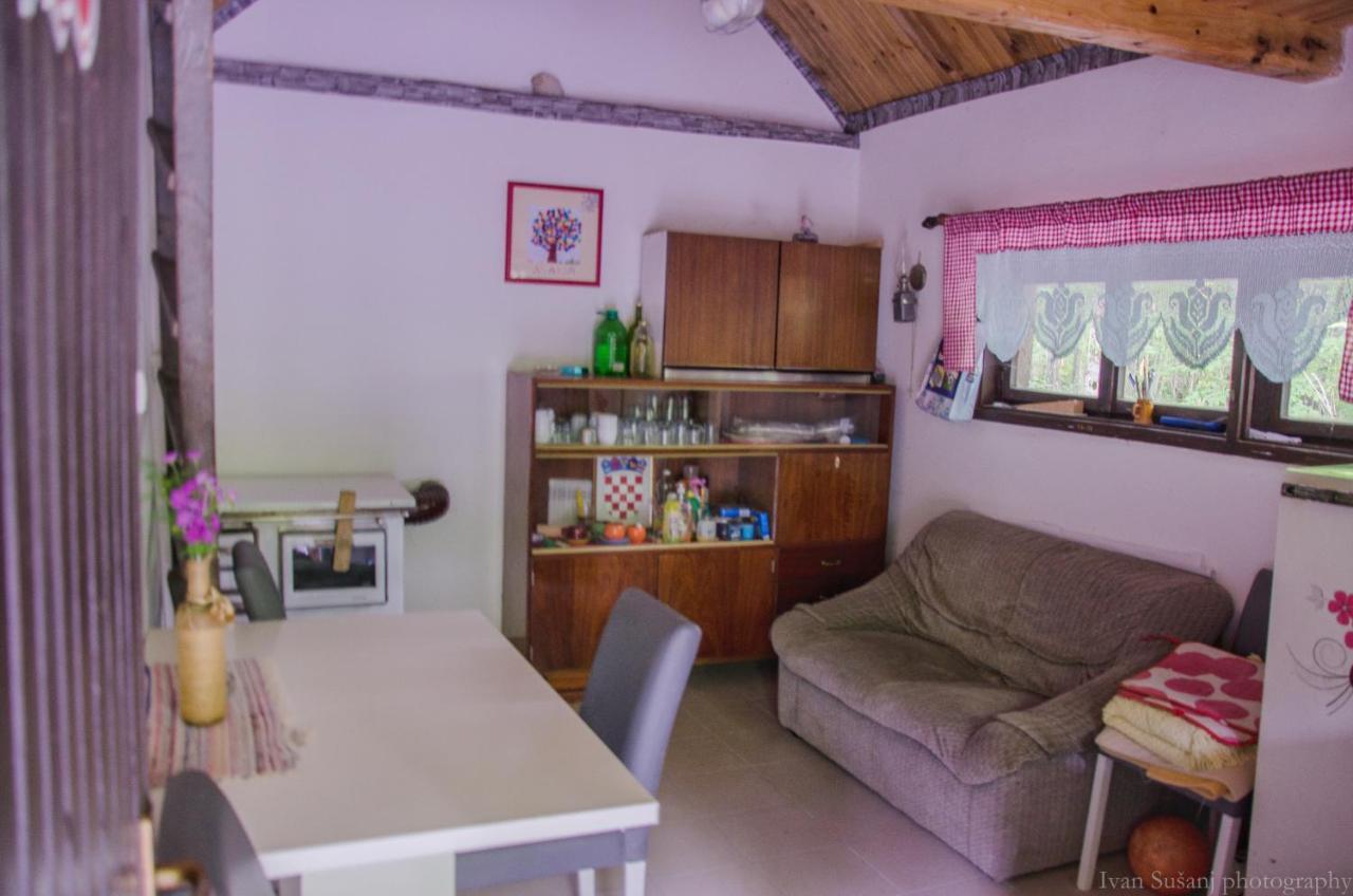 Apartment Rasce Огулин Экстерьер фото