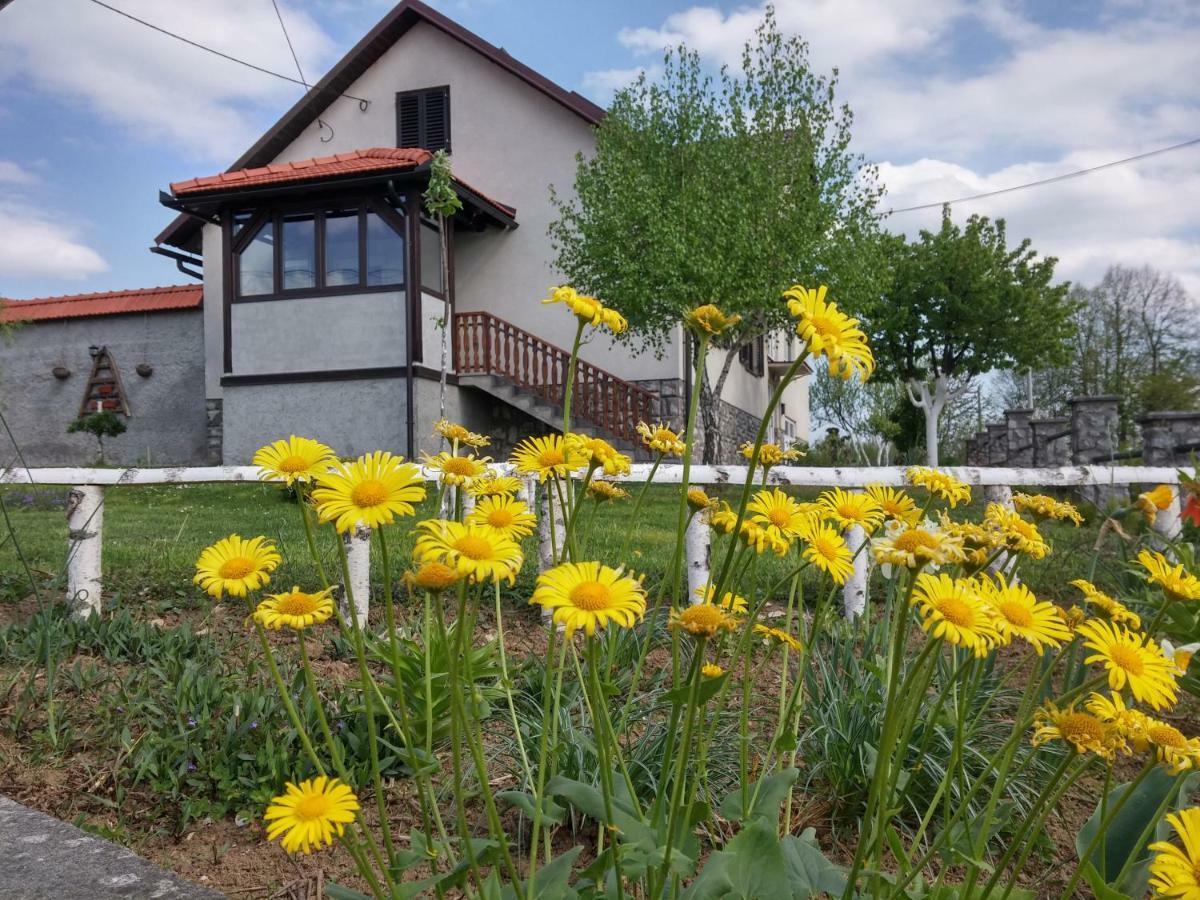 Apartment Rasce Огулин Экстерьер фото